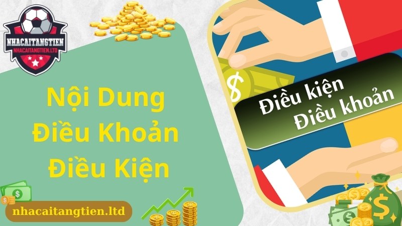 Cập nhật nội dung mới nhất áp dụng trong điều khoản điều kiện